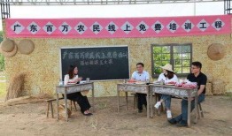 湛江最新农民爆料,揭秘湛江乡村发展新动态